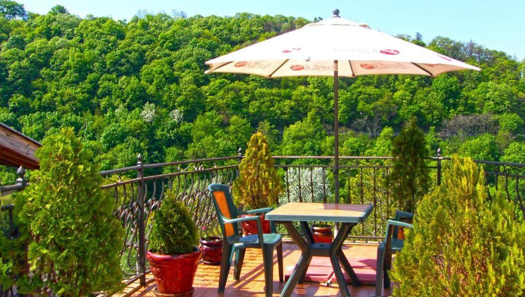 Фото Отели Family Hotel Silvestar Велико-Тырново 30